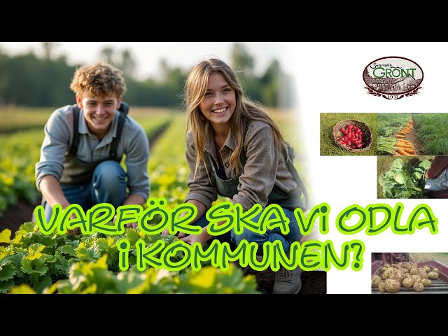 Varför ska vi odla grönsaker i kommunen?